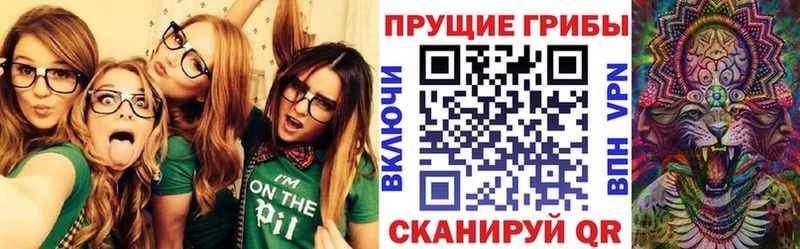 Галлюциногенные грибы мицелий  даркнет сайт  kraken ссылки  Коряжма 